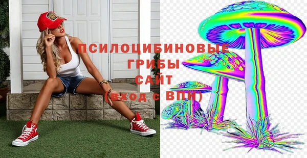 соль курить ск Ельня