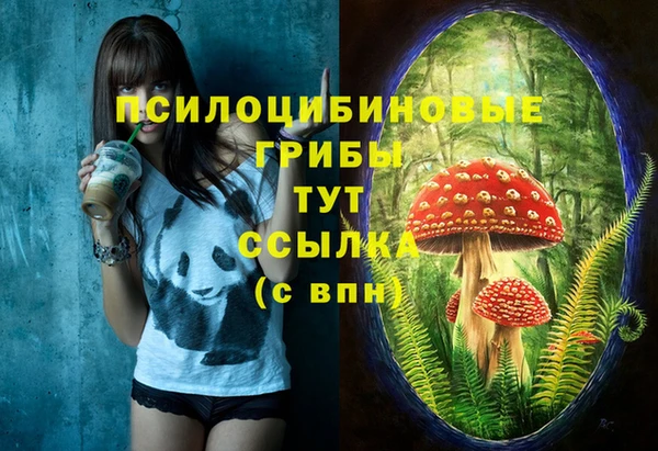 первитин Елизово