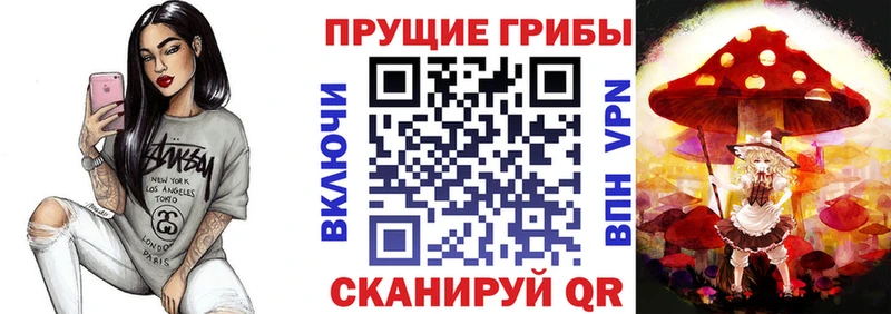 Купить  Малоярославец  Галлюциногенные грибы мухоморы 